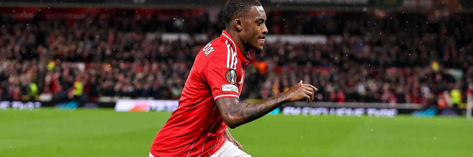 Forest cruising at home?