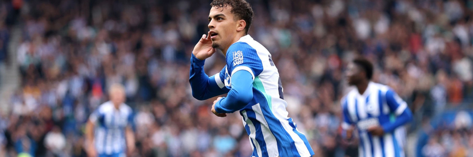 Brighton up for Newcastle?