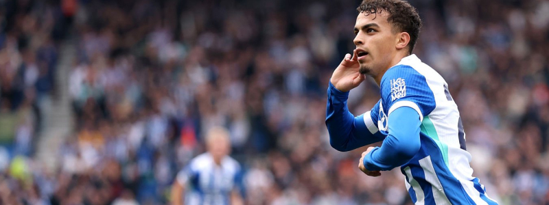 Brighton up for Newcastle?