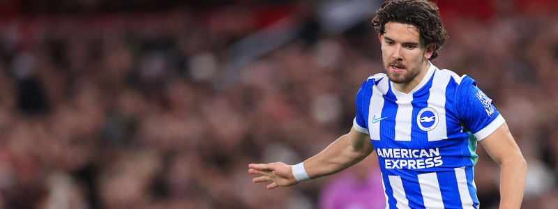 Seagulls up for Leeds?