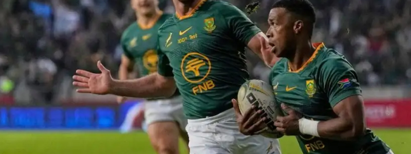 Springboks demolishing Georgie?