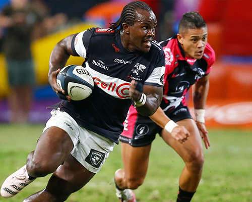 Sharks vs Puma Currie Cup Preview.