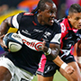 Sharks vs Puma Currie Cup Preview.