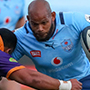 Cheetahs vs Blue Bulls Currie Cup Preview.