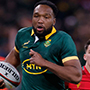 The Rugby Championship Round 1 Betting Preview