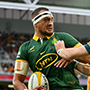 The Rugby Championship Round 2 Betting Preview